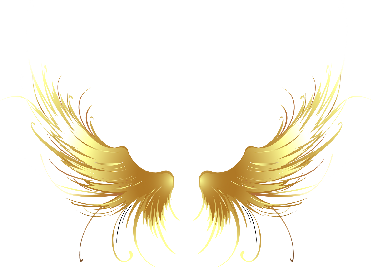 Fifth golden wings of angels